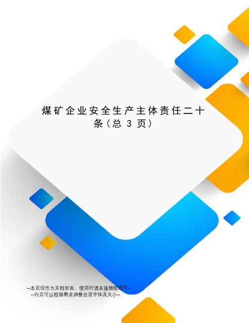 煤矿企业安全生产主体责任二十条