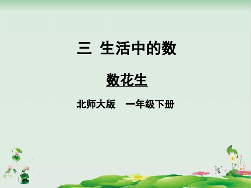 一年级下册数学精品课件：数花生(北师大版)PPT