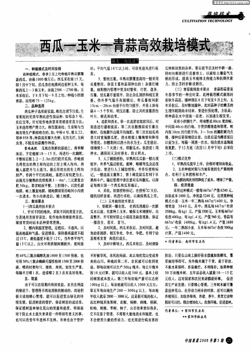 西瓜-玉米-青蒜高效栽培模式