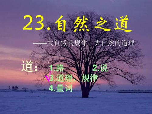自然之道第一课时