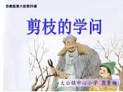 2018小学语文剪枝的学问第一课时PPT