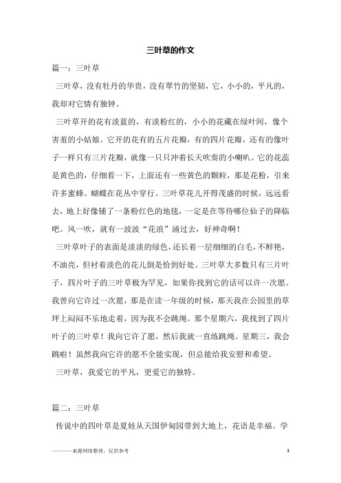 三叶草的作文