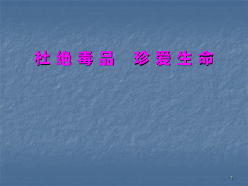 禁毒法制授课ppt课件