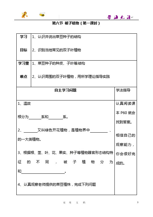 《被子植物》第一课时导学案