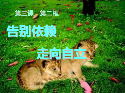 告别依赖走向自立ppt