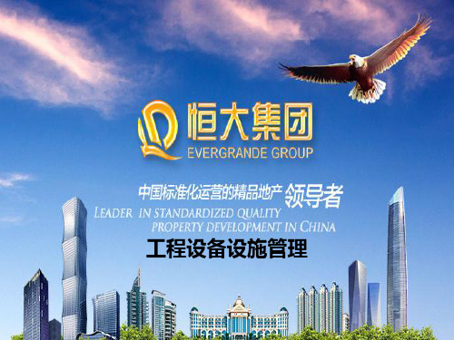 工程设备设施管理(ppt39页).ppt