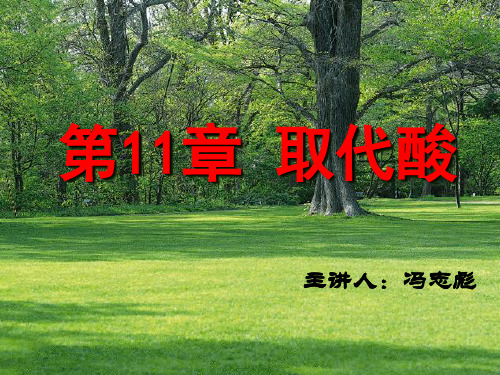 【有机化学课件】11 第11章 取代酸