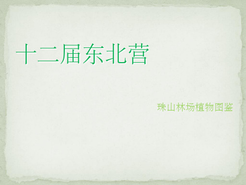 植物图鉴ppt课件