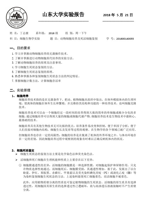 07 动物细胞培养及死活细胞鉴别