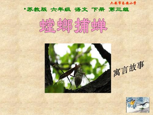 《螳螂捕蝉》PPT课件(苏教版六年级语文下册课件)