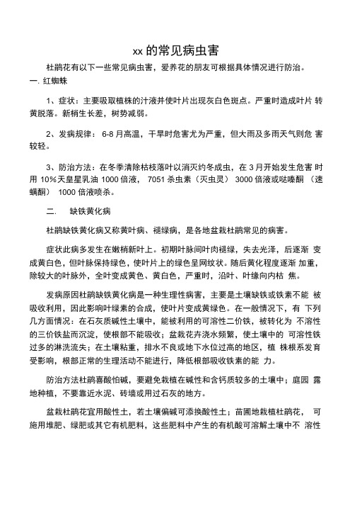 杜鹃花的常见病虫害