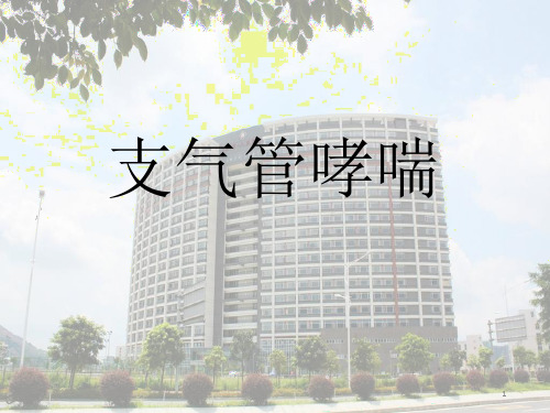 支气管哮喘基层指南PPT课件