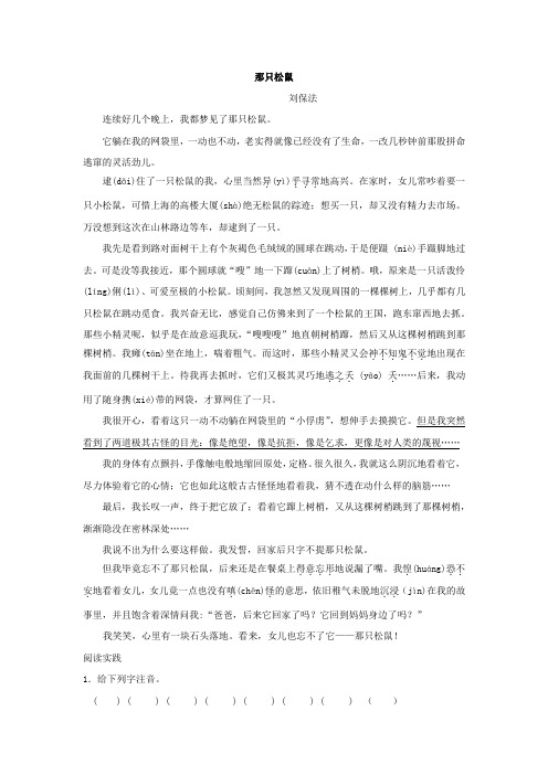 那只松鼠
