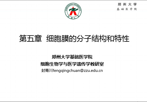 第五章  细胞膜的分子结构和特性