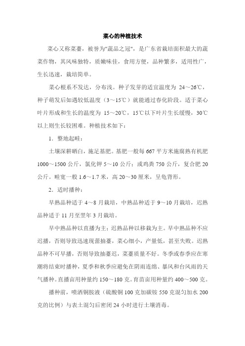 菜心的种植技术