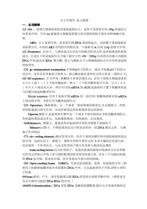 分子生物学期末考试题目及答案