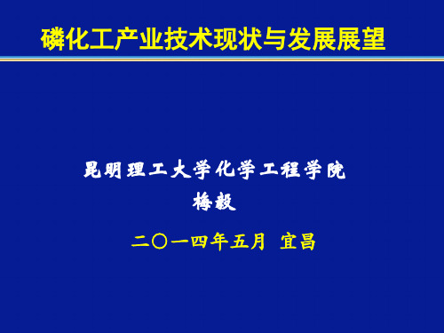 磷化工产业技术现状与发展展望