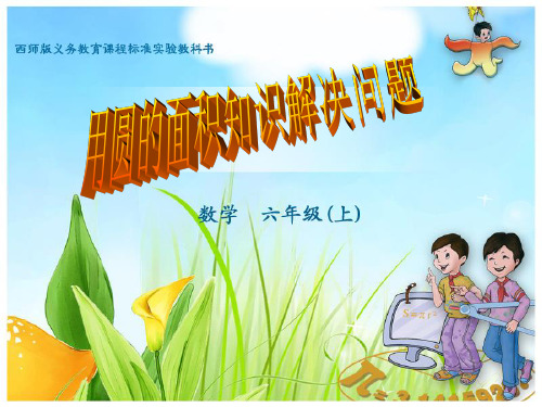 小学数学用圆的面积解决问题PPT课件