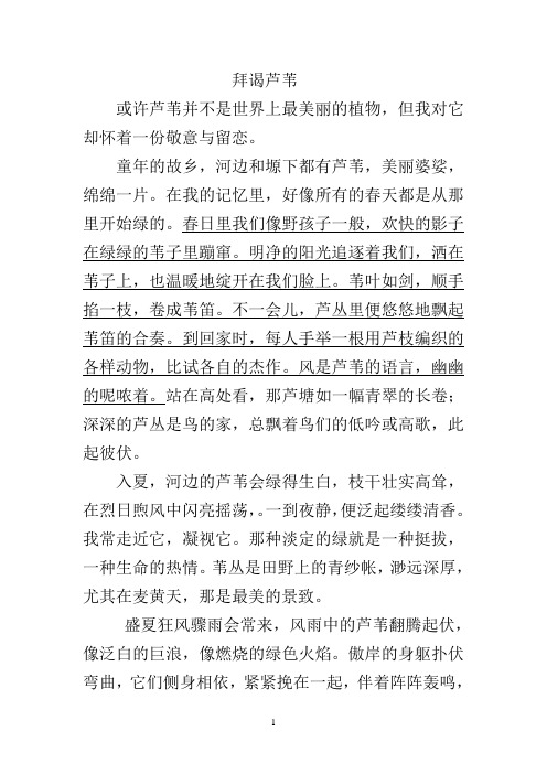 《拜谒芦苇》阅读训练