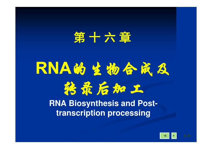 生物化学 人民卫生出版社 第16章RNA的生物合成和加工