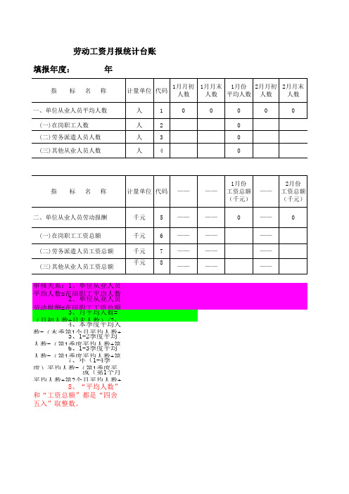 劳动工资 报 统计台账 ls