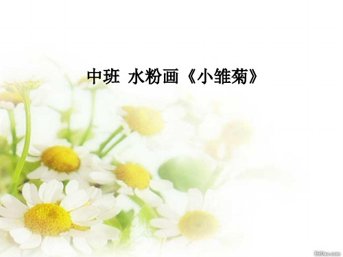 中班 美术 小雏菊