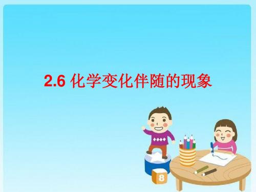 2.6化学变化伴随的现象