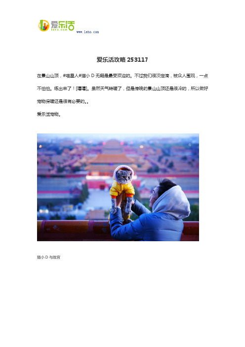 爱乐活攻略253117
