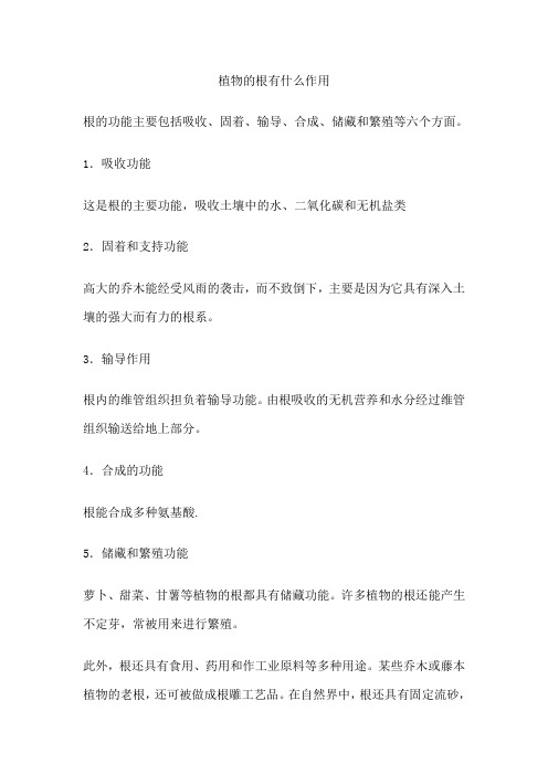 植物的根有什么作用