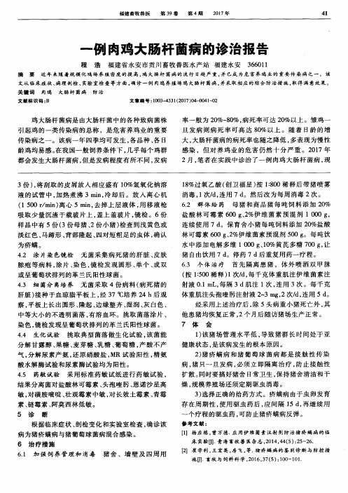 一例肉鸡大肠杆菌病的诊治报告