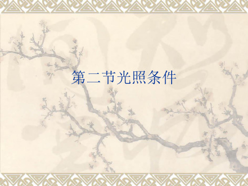 第三章第二节光照条件