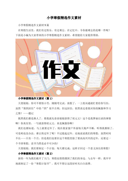 小学寒假精选作文素材