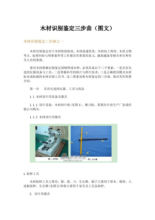 木材识别鉴定三步曲