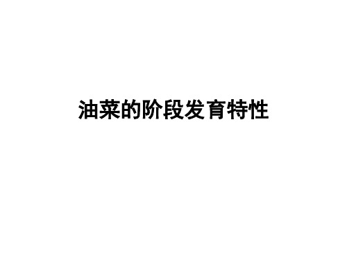 油菜的阶段发育特性