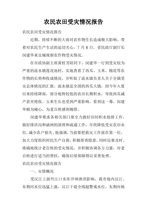 农民农田受灾情况报告
