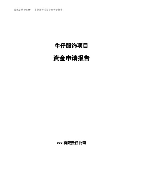 牛仔服饰项目资金申请报告