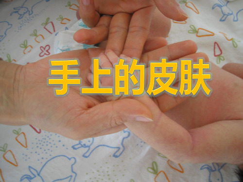 手上的皮肤2018.4