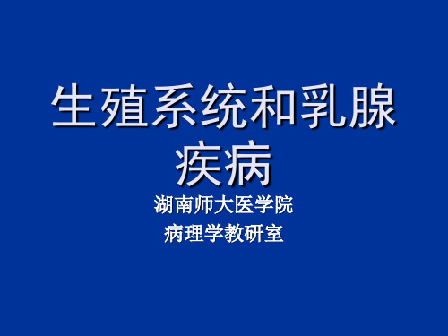 病理学课件：生殖系统疾病