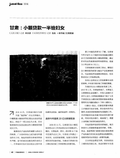 甘肃：小额贷款一半给妇女