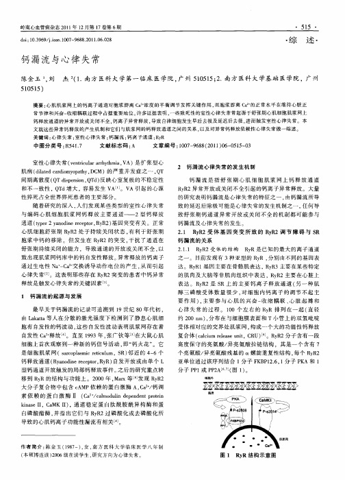 钙漏流与心律失常