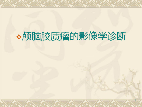 脑胶质瘤的影像学表现 PPT课件