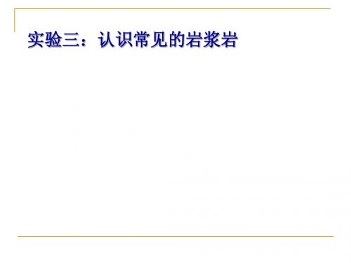 岩浆岩实验(三)
