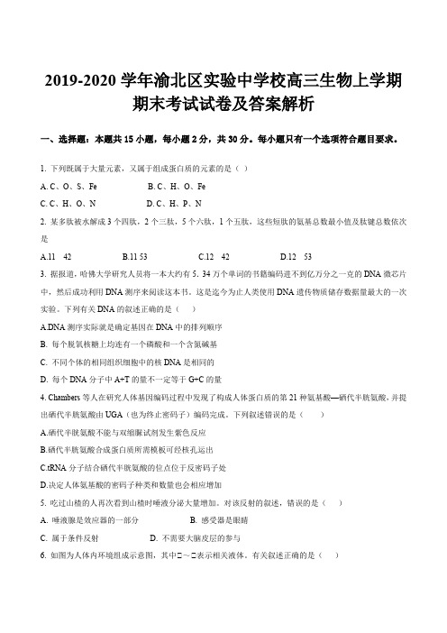 2019-2020学年渝北区实验中学校高三生物上学期期末考试试卷及答案解析