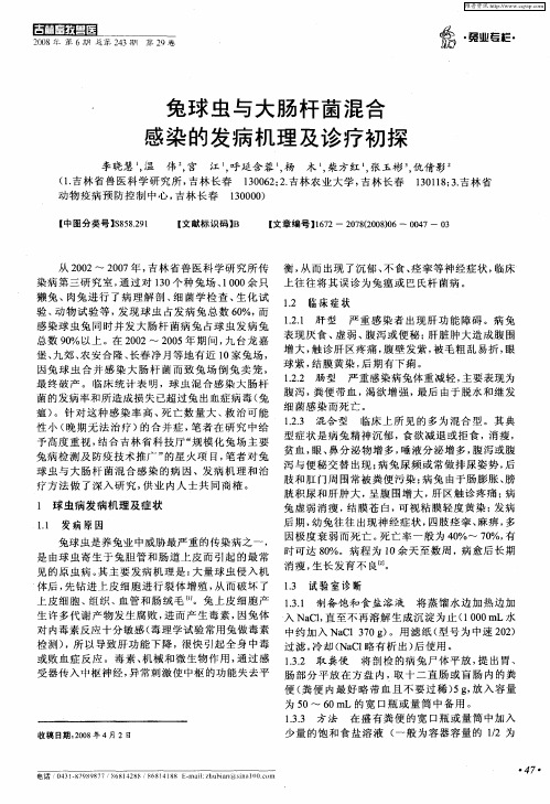 兔球虫与大肠杆菌混合感染的发病机理及诊疗初探