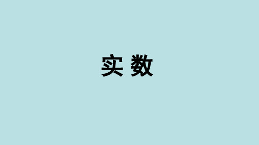 北师大版数学八年级上册2.6实数(共14张PPT)