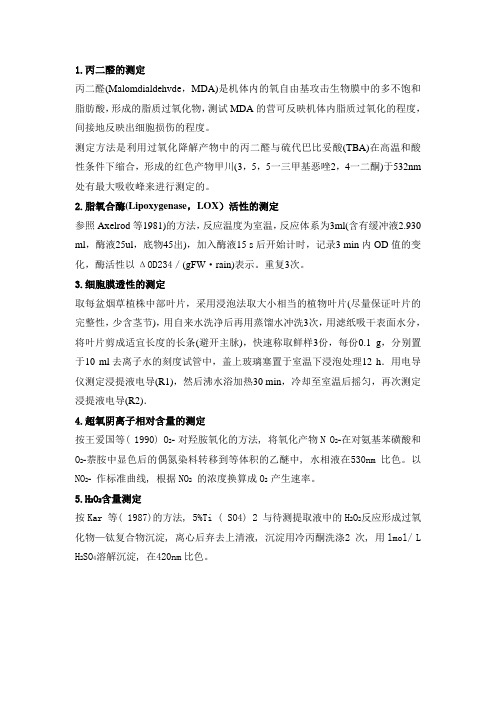 双向凝胶电泳