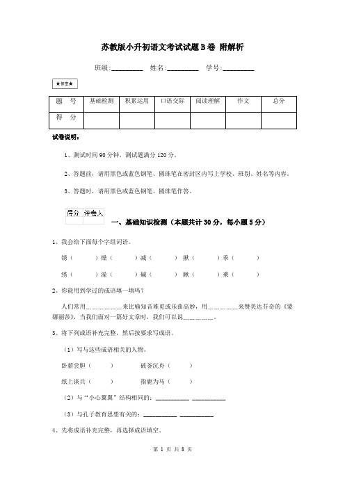 苏教版小升初语文考试试题B卷 附解析