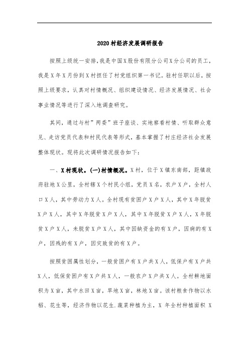 2020村经济发展调研报告