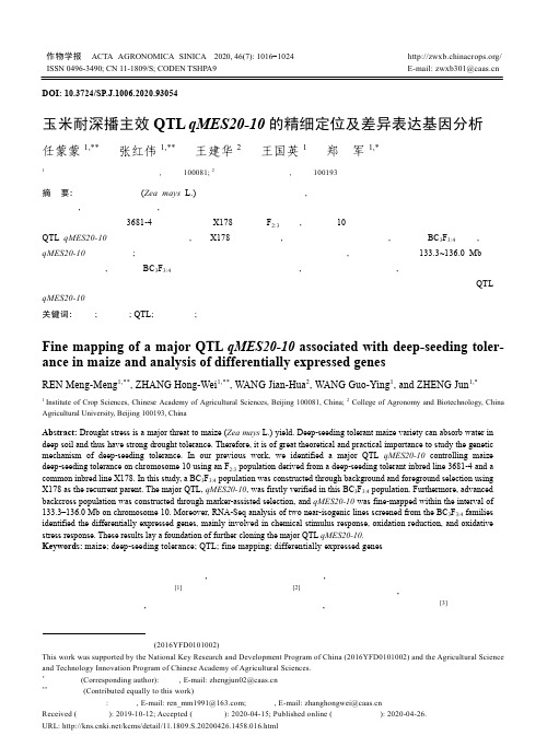 玉米耐深播主效QTL qMES20-10的精细定位及差异表达基因分析