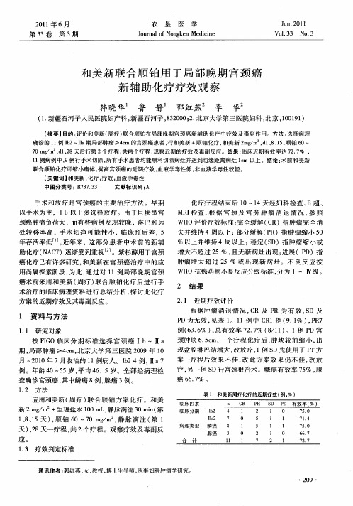 和美新联合顺铂用于局部晚期宫颈癌新辅助化疗疗效观察